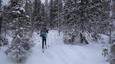 滑雪<strong>巡回</strong>赛-在白雪皑皑的冬林里带着滑雪板的女人。 芬兰